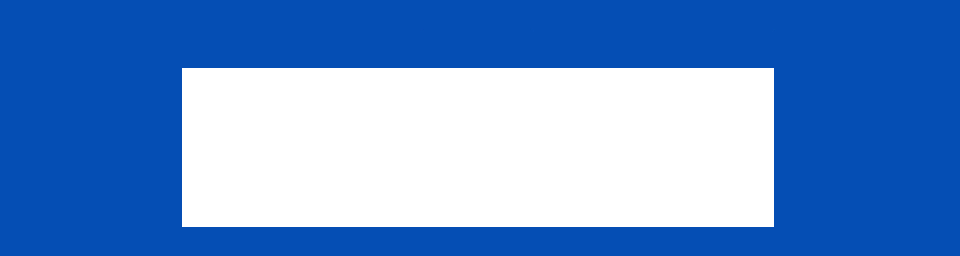 企業(yè)簡(jiǎn)介